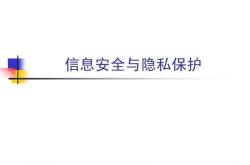 数字丝路ai动察数字时代丝绸之路越走越宽