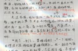 6陪儿子学我要的是葫芦笔记句子改写