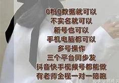 抄袭风险与问题