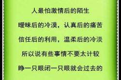 南柯山河侠影攻略与任务通关流程